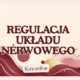 Układ nerwowy